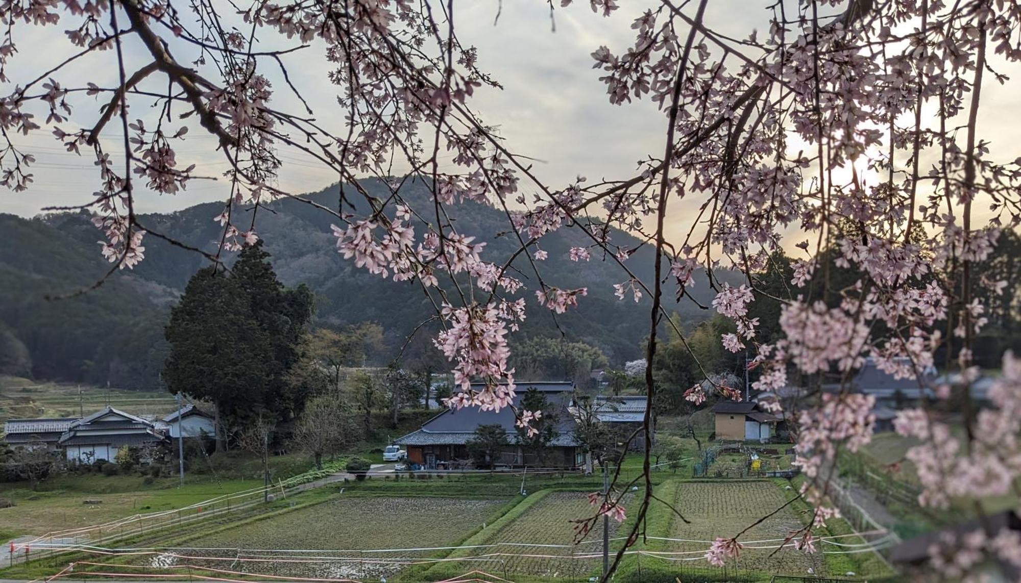 一汁一菜の宿　ちゃぶダイニング Ichiju Issai No Yado Chabu Dining Unforgettable Farmstay Experience In Deep Kyoto Ayabe 外观 照片