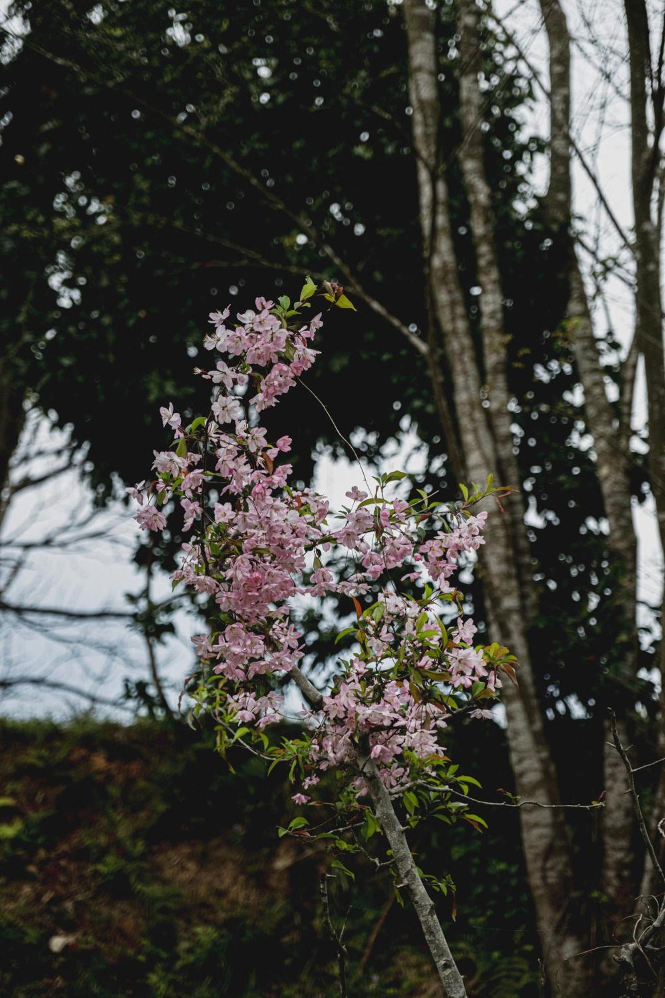 一汁一菜の宿　ちゃぶダイニング Ichiju Issai No Yado Chabu Dining Unforgettable Farmstay Experience In Deep Kyoto Ayabe 外观 照片